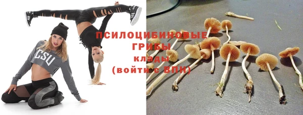 прущий лед Алексин